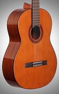 Cordoba C5 Body