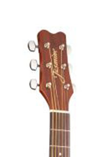 Jasmine-S34C-Headstock