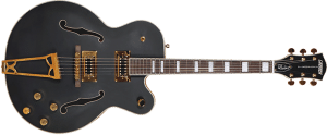 hollowbody