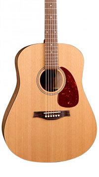 Seagull-S6-Body
