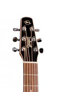 Seagull-S6-Headstock