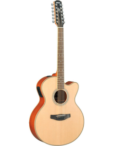 takamine12string