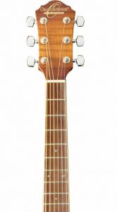 Oscar-Schmidt-OG1FYS-neck