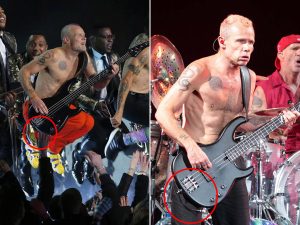 Flea-unplugged