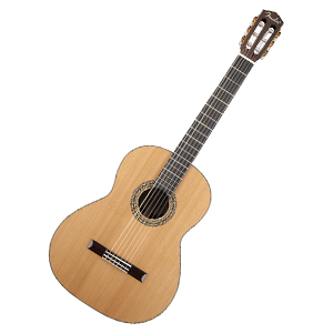 acoustic