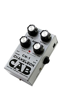 AMT Electronics Chameleon
