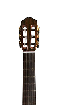 Cordoba 55FCE Thinbody Limited Headstock