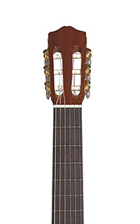 Cordoba Protege C1 Headstock