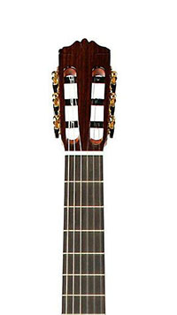 Cordoba Solista CD/IN Headstock