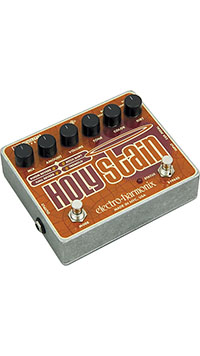 Electro-Harmonix Holy Stain