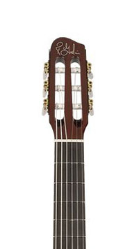 Godin Multiac Grand Concert Duet Ambiance Headstock