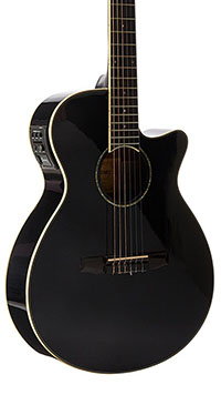 Ibanez AEG10NII Body & Neck