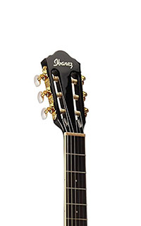 Ibanez AEG10NII Headstock
