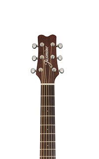 Jasmine JO-36 Orchestra Headstock