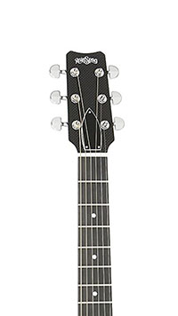 RainSong Hybrid Series H-WS1000N2 Headstock