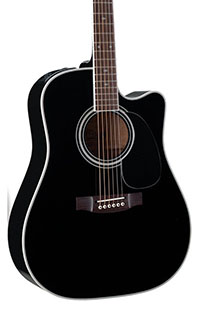 Takamine EF341SC Body