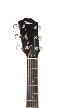 Taylor 200 Series Deluxe 224ce-K Headstock