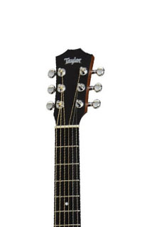 Taylor Taylor Swift Signature Headstock