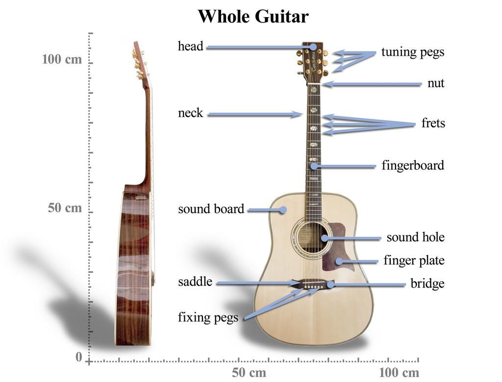 buying guide for acoustic guitars