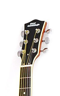 Pyle-PGA48BR-Headstock