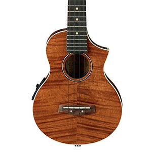 Ibanez-UEW15E-body