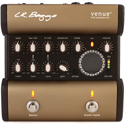 LR-Baggs-Venue-DI-Features