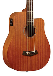 Gold-Tone-Mbass-25-body