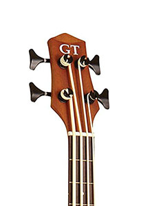 Gold-Tone-Mbass-25-head