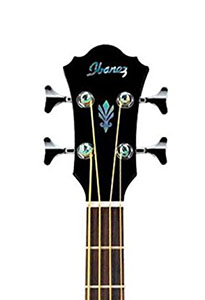 Ibanez-AEB10E-head
