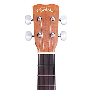 Cordoba-15TM-neck