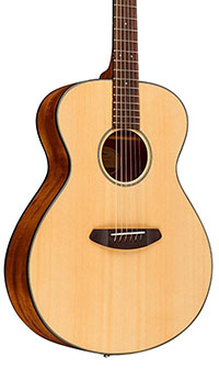 Breedlove-Discovery-Concert-Body