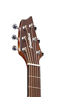 Breedlove-Discovery-Concert-Headstock
