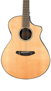 Breedlove-Solo-Concert-Body
