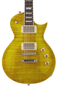 ESP-LTD-EC-256FM-Body