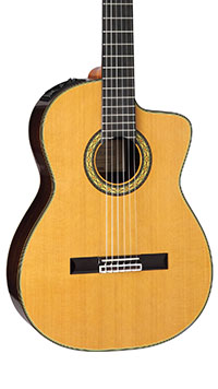 Takamine-TH5C-Body