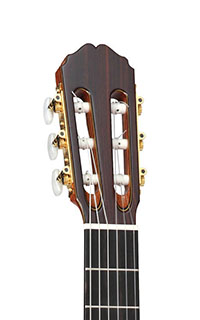 Takamine-TH5C-Headstock