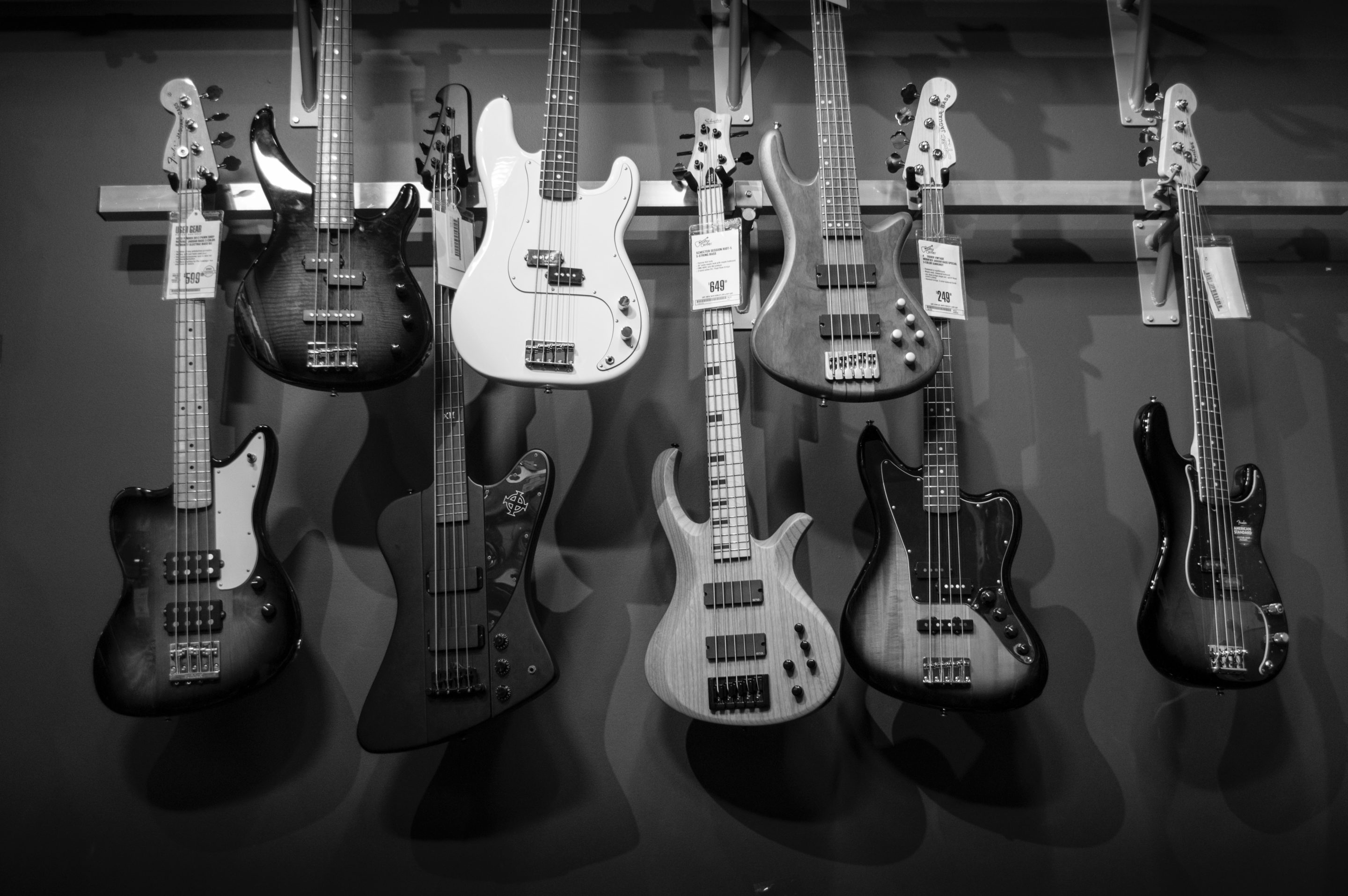 Diffirent brand of bass guitar