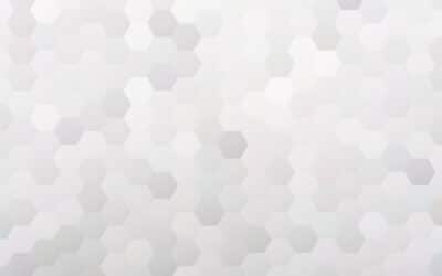 Spotlight Interview with Artist Reach