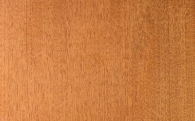 The Guitar Tonewood Guide