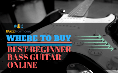 Where To Buy Best Beginner Bass Guitar Online – Important Resources