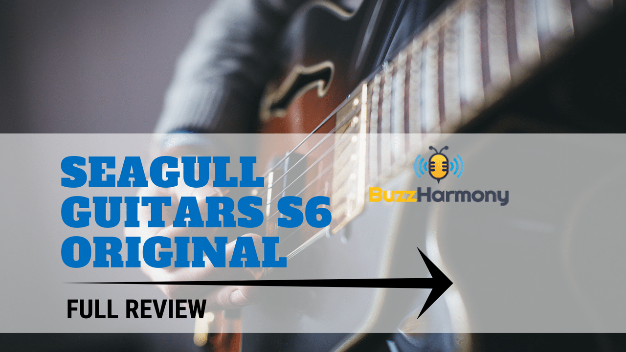 Seagull Guitars S6 Original Review | A High-quality Instrument for a Price  Tag