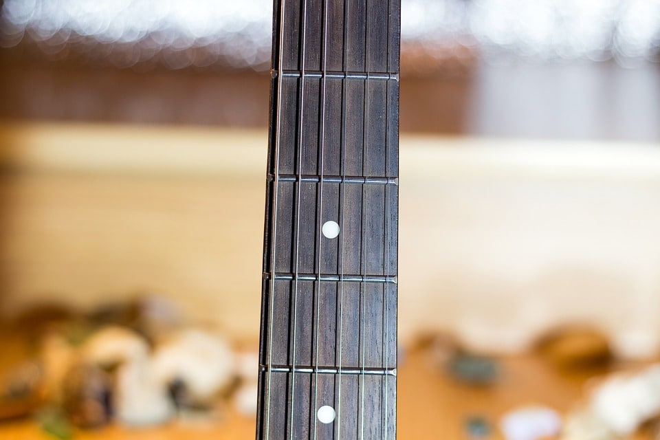 frets on the guitar neck